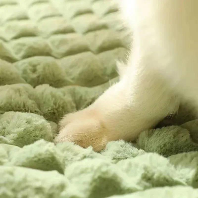 Thumbnail 3 - #7 Latest Washable Puppy Cushions Offers