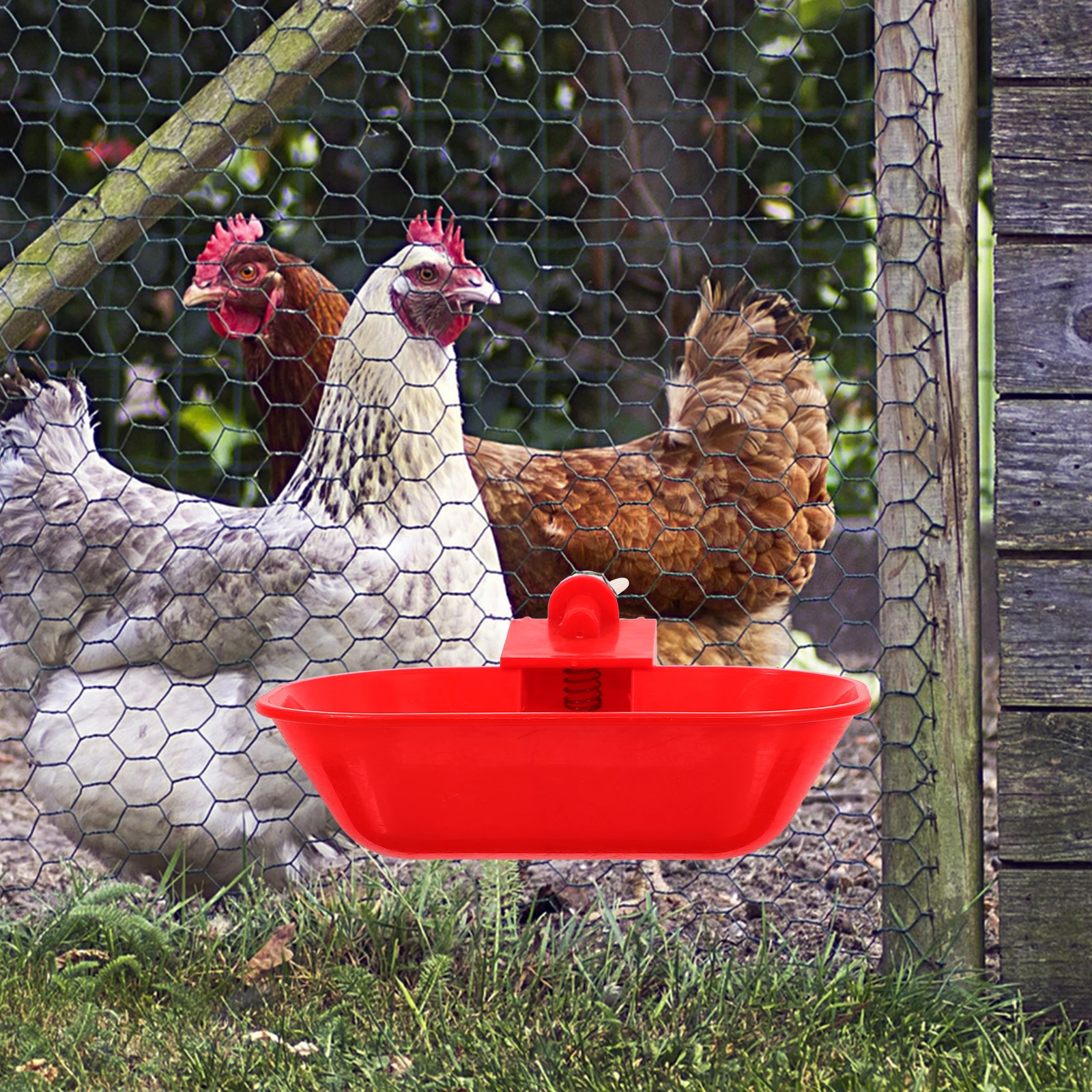 

5pcs Chicken Duck Goose Water Bowls Large Capacity Automatic Drinking System PP Leak Proof Poultry Farm Supplies