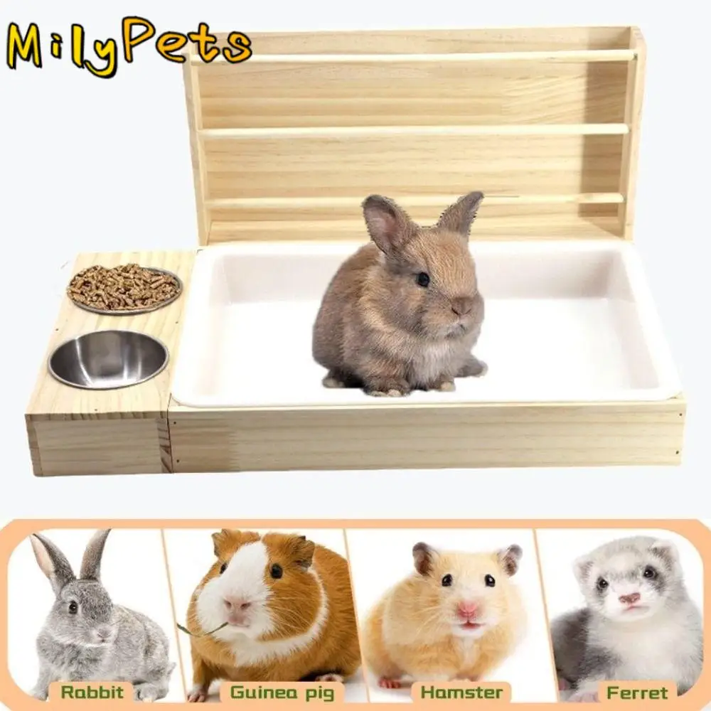 Multifunctional Rab… - image