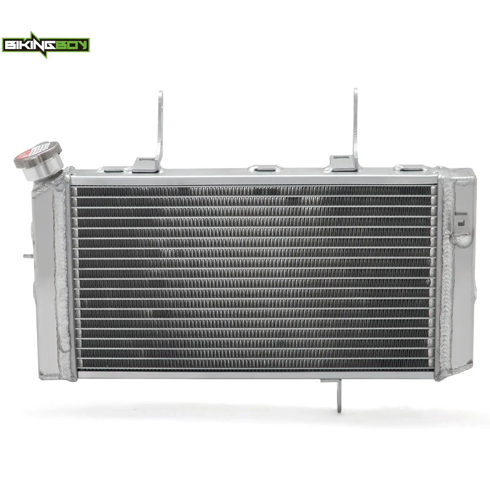 BIKINGBOY Engine Radiator Cooling DL 1000 V-Strom 02 03 04 05 06 07 08 09 10 11 12 Water Cooler Aluminium Alloy Core Polished