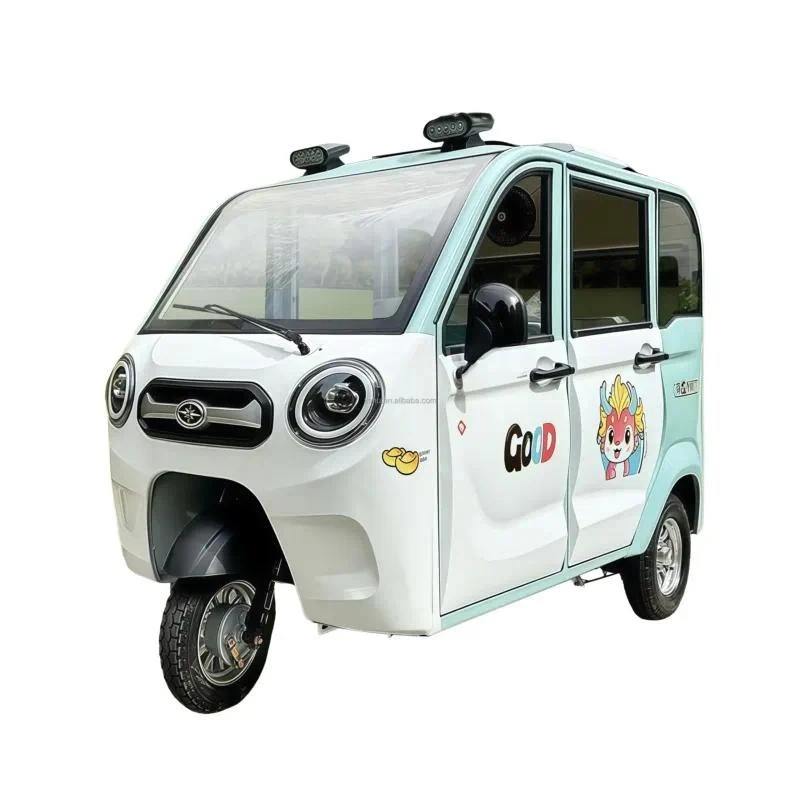 Adults and the elderly 1000W electric tricycle, large cargo space, new energy vehicles