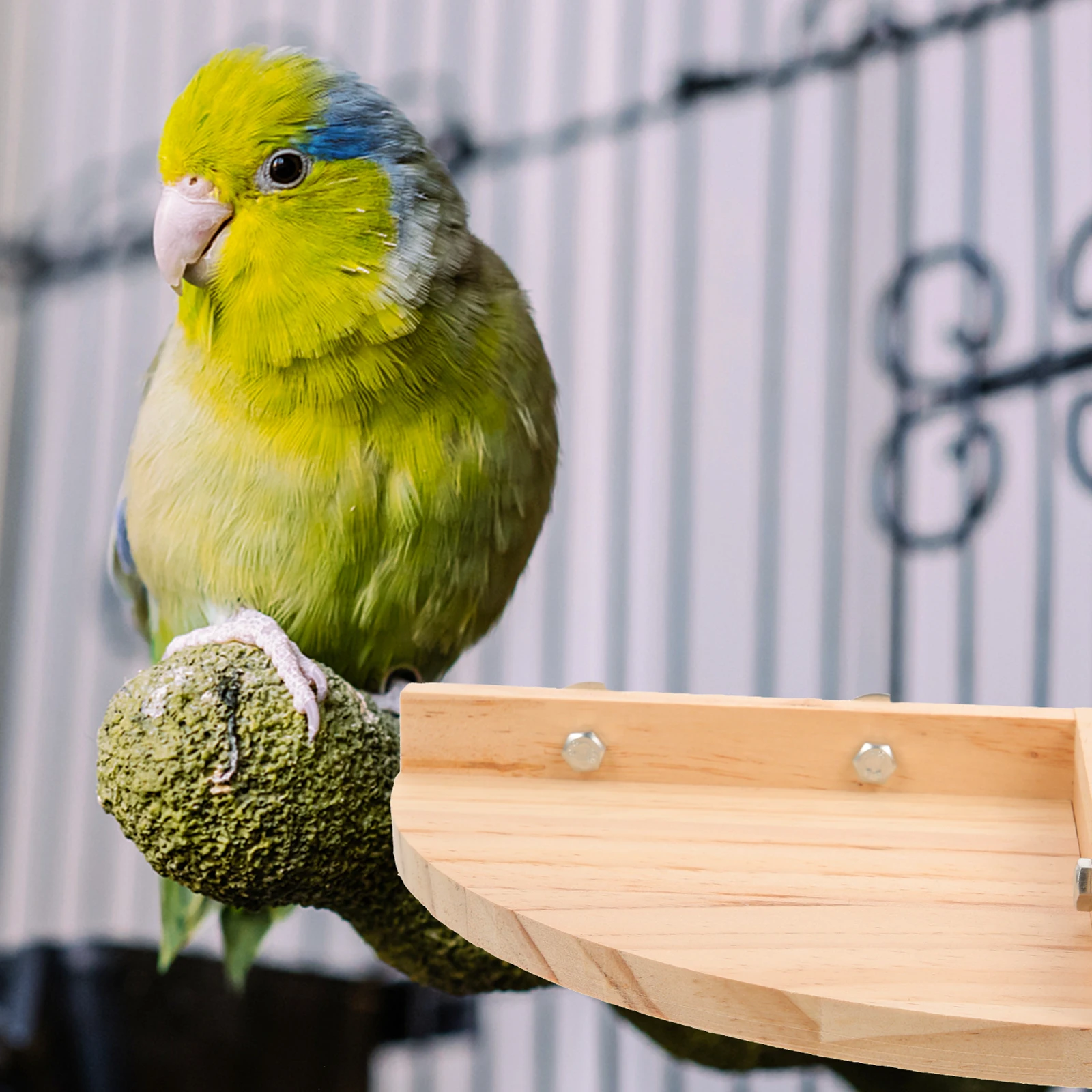 

Wooden Parrot Perch St Bird Roost Natural Safe Cage Supply Large Platform Canaries Cockatoos Budgies Black Cockatoos Easy