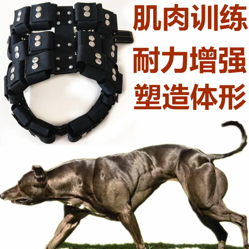 Pit Bull Weight Neck Cover Training Equipment Horse Dog Dog Collar Iron Block Bulldog Neck Cover Neck Ring