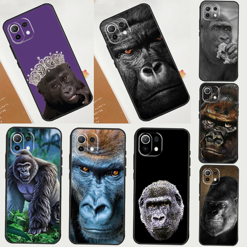 Monkey Gorilla Ape … - image