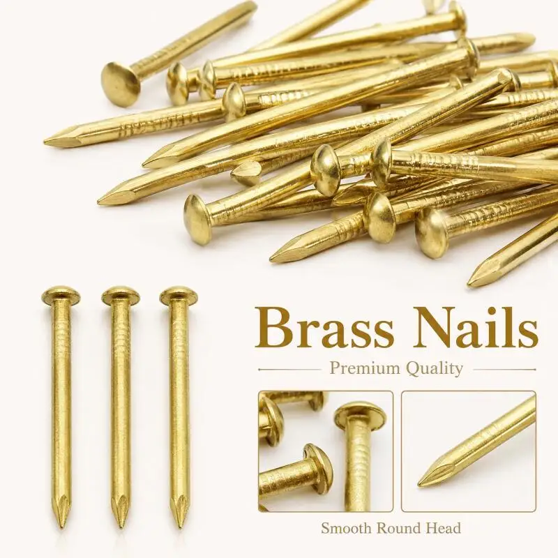200/100/50/25pcs Dia 1.2mm 1.5mm 2mm 2.8mm  Brass Small Mini Round Head Nail for Furniture Hinge Drum Jewelry Chest Box