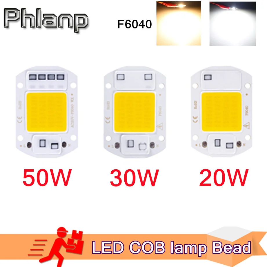 LED COB lamp Bead 20W 30W 50W AC 220V 240V IP65 Smart IC No Need Driver DIY Flood light Led Bulb Spotlight Outdoor Chip Lamp