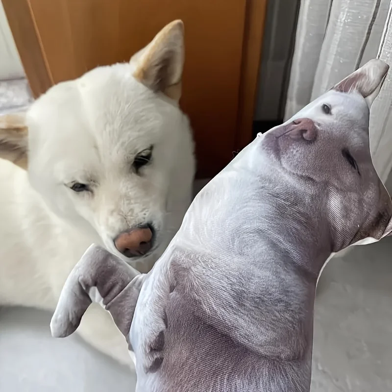 وسادة مريحة وحميمة، مخصصة لصور الحيوانات الأليفة من القطيفة، لوحة ذاكرة مخصصة للكلاب والقطط، هدية فريدة وممتعة #4