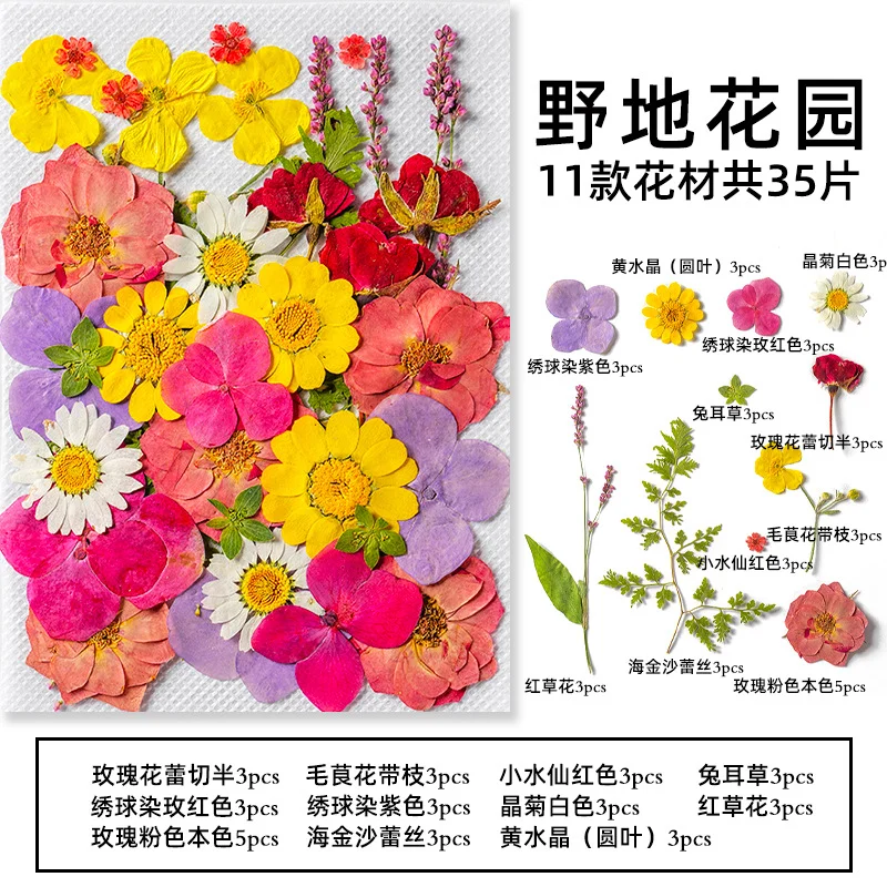 35Pcs10 Set of Dried Flowers and Pressed Real Natural Flower Leaves for Resin Jewelry Mold Filling, Phone Case Making, Decoration, and Scented Candles