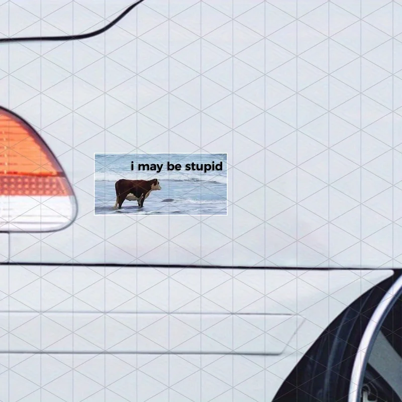 ملصقات سيارات روح الدعابة "يمكن أن أكون غبيًا" ذات طابع البنزين - ملصقات باب روح الدعابة للسيارات والشاحنات والشاحنات والشاحنات #6