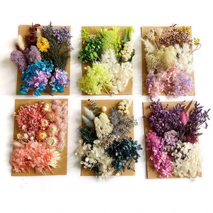 Dried flowers pressed for home decoration, natural flowers for handcrafted handicrafts, wers leaves, diy candles, epoxy resin 10 Main Sales Natural Dry Flowers - №5
