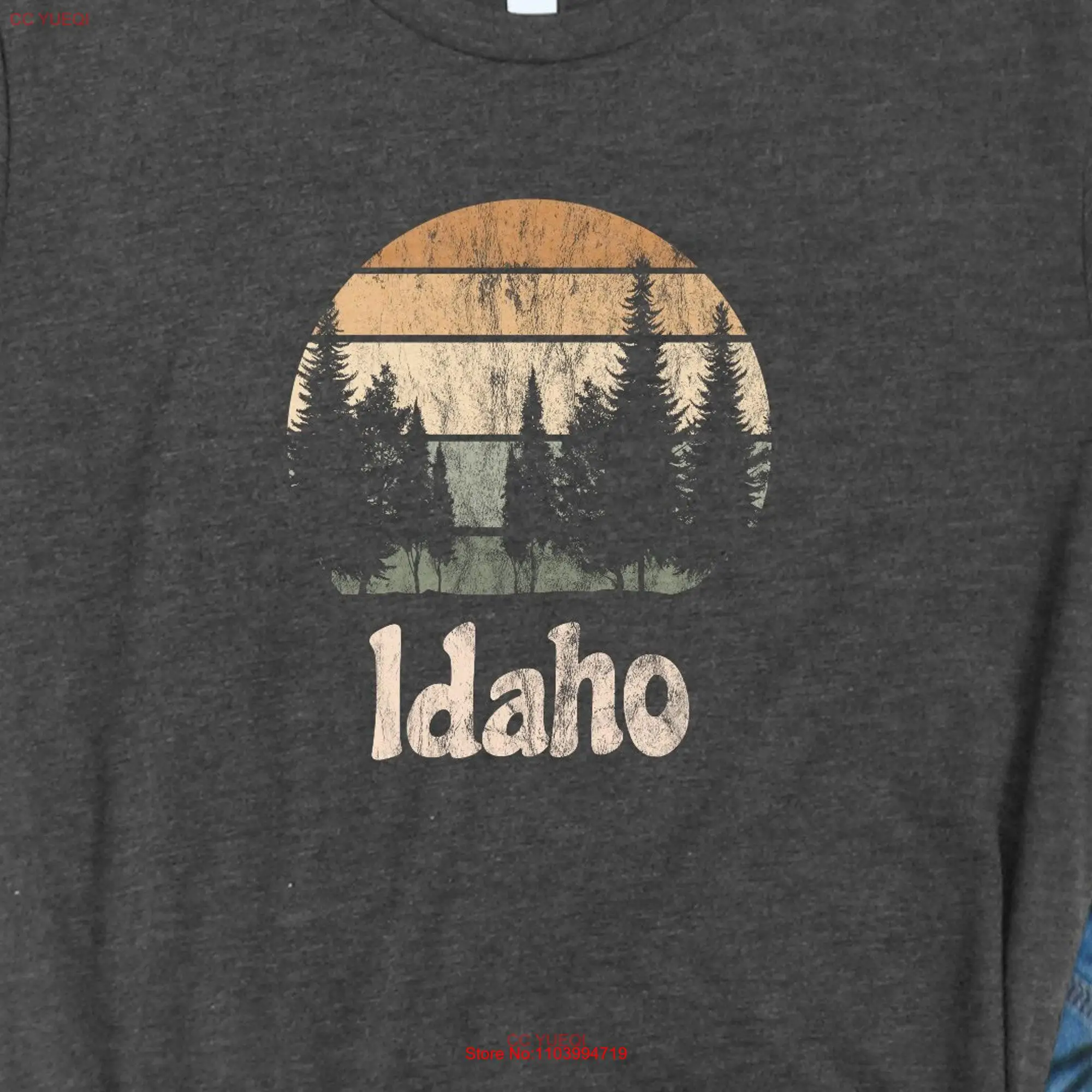 Idaho Retro Sunset Super Soft Bella Canvas T Shirt Distressed Vintage 1970s long or short sleeves