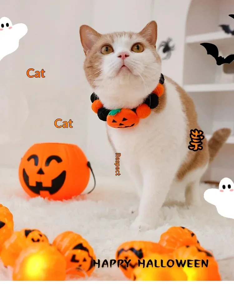 https://ae-pic-a1.aliexpress-media.com/kf/Se516ba7eb282486fb9ef828cd96d3d75m.jpg
