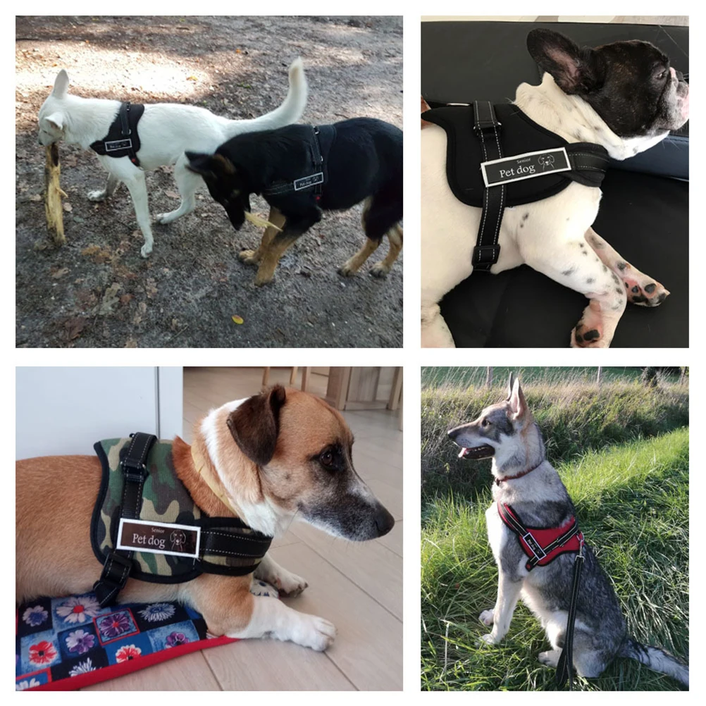 Chaleco con arnés para perro, forro de malla transpirable, correas ajustables para el pecho, conector de correa, anillo en D, equipo de viaje para mascotas
