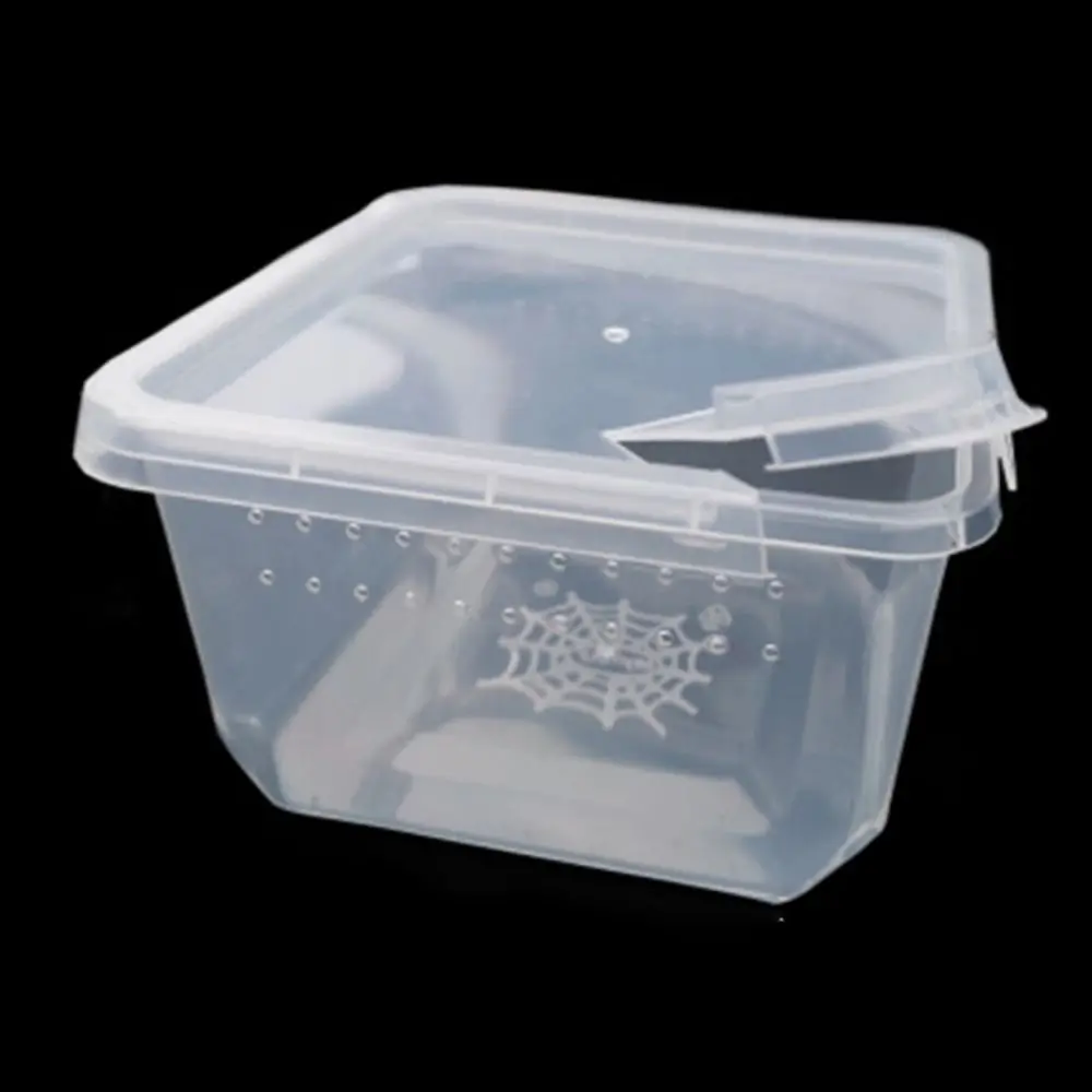 

Transparent for Scorpion Spider Ants Reptile Accessories Hatching Tank Lizard Living Box Reptile Habitat Insect Feeding Box