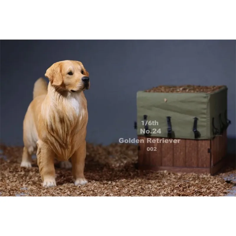 JXK – modèle Golden Retriever en résine, échelle 1/6, Simulation de périphérie pour animaux de compagnie, jouet à collectionner adapté aux figurines d'action de 12 pouces, poupée corporelle