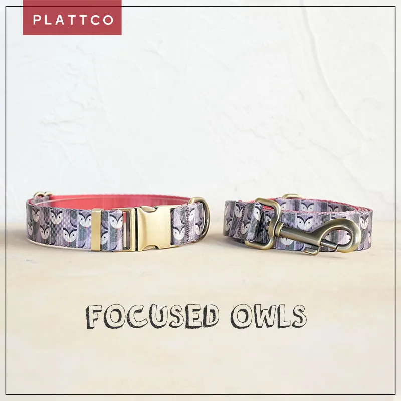 PLATTCO unique design dog set print FOCUSED OWLS with high-quality bronze buckle size 5 PDC316Br&PDL316Br