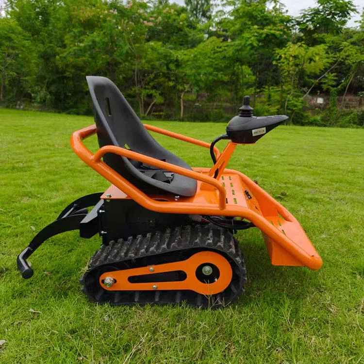 Electric Dual Tracked Scooter Snowbike All Season Snowmobile Etv Tank Fiberglass+Hardware 250W 360-degree Rotation