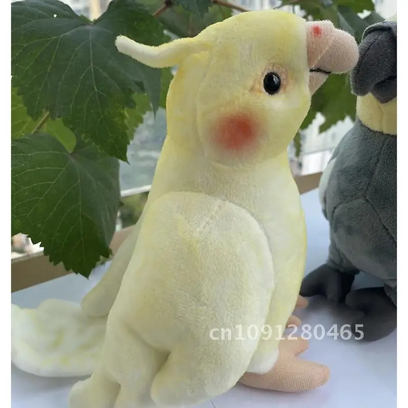 Jouets en peluche de calopsitte grise réaliste, mini taille, perroquet jaune réaliste, animaux en peluche, poupées cadeaux