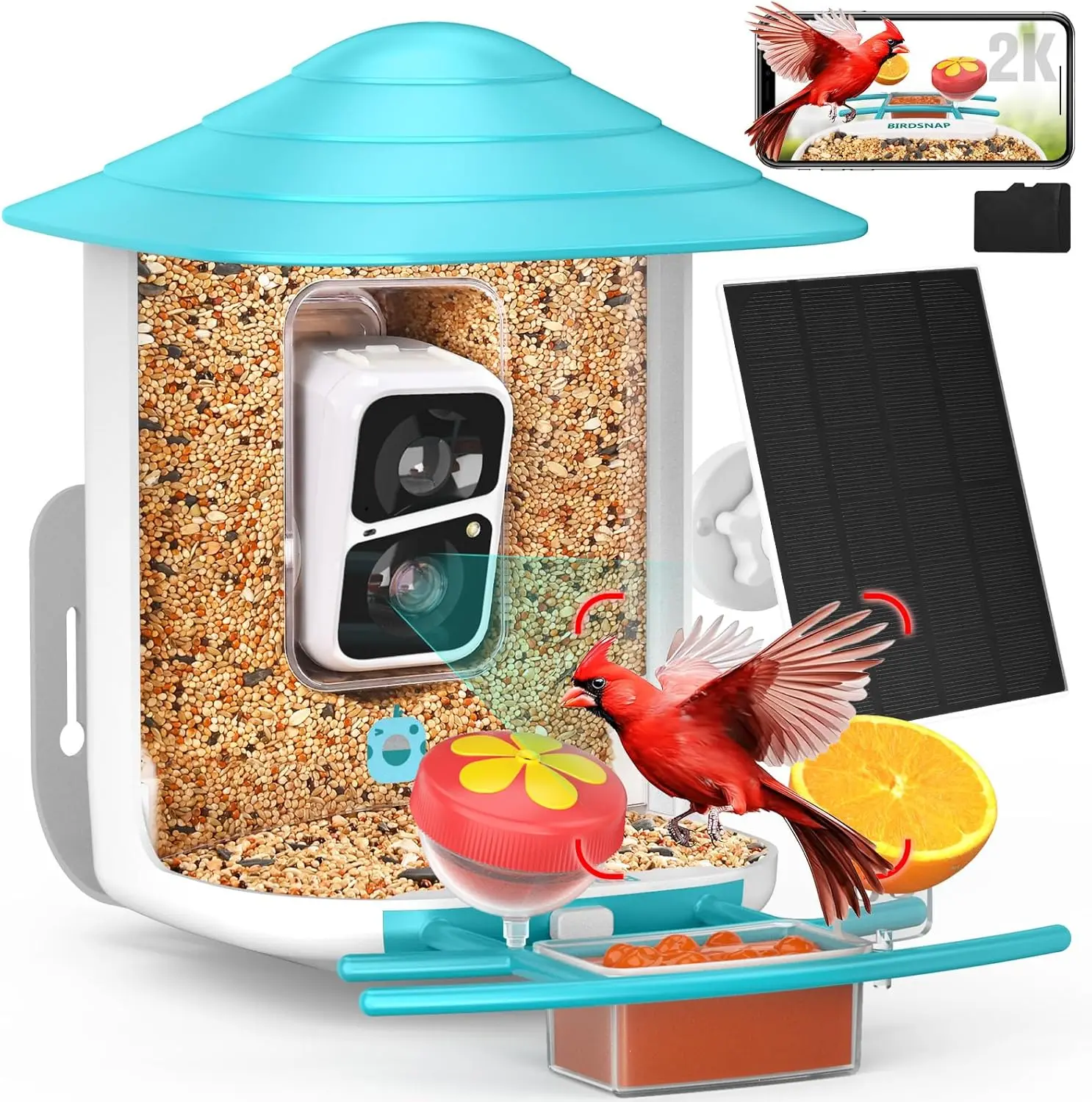 2K HD Bird Feeder Camera with Solar Panel, 32GB Card, Auto Detect & AI Identify, Wireless Outdoor Gift for Bird Lovers