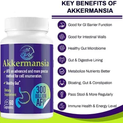 300 billion AFU Akkermansia Muciniphila live probiotic digestion, gut, immunity, and overall health, 60 capsules