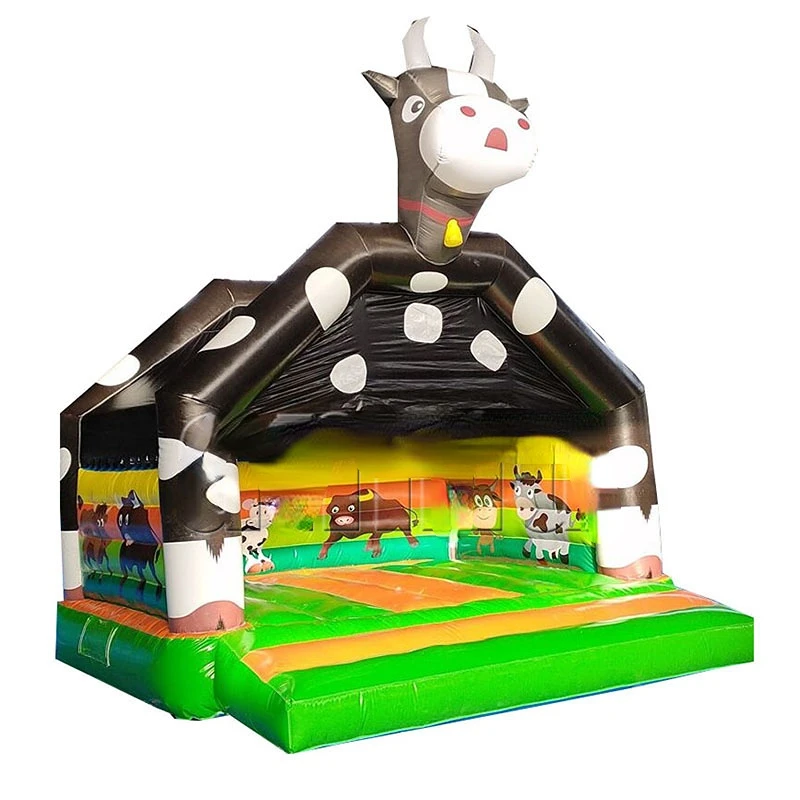 Mini bouncing castle bounce house inflatable trampoline for sale