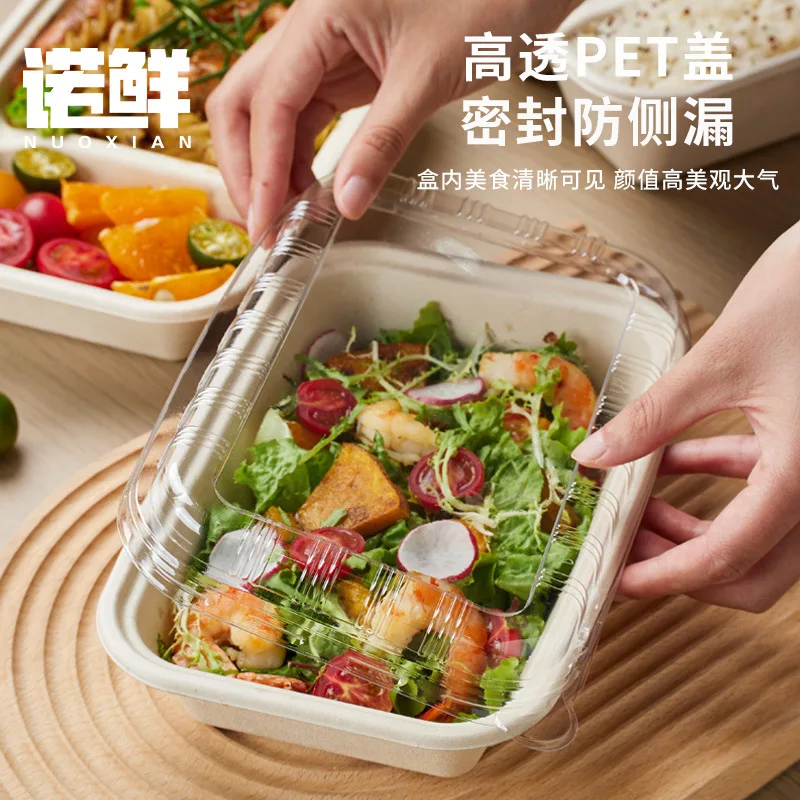Custom Disposable Rectangular American Style Single/Double Compartment Paper Pulp Lunch Box Thickened Salad Takeout Food Contain