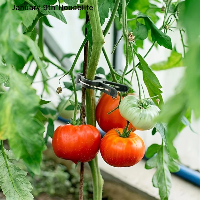 Plant Fixed Clips Reusable Garden Greenhouse Bracket Garden Plants Vine Climbing Clamp Flower Tomato Support Fastener