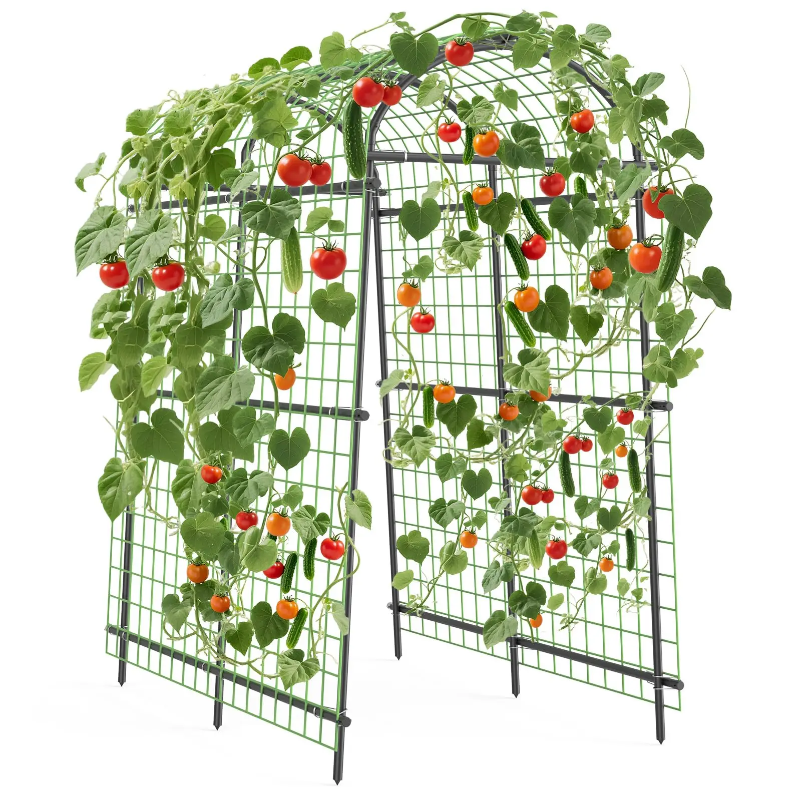 7.5Ft Garden Arch Trellis for Climbing Plants, Metal Arch Frame,Outdoor Garden Arbors and Arches for Halloween Christmas Birthday Party Baby Shower Decoration