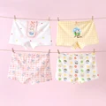 4 Pieces B051