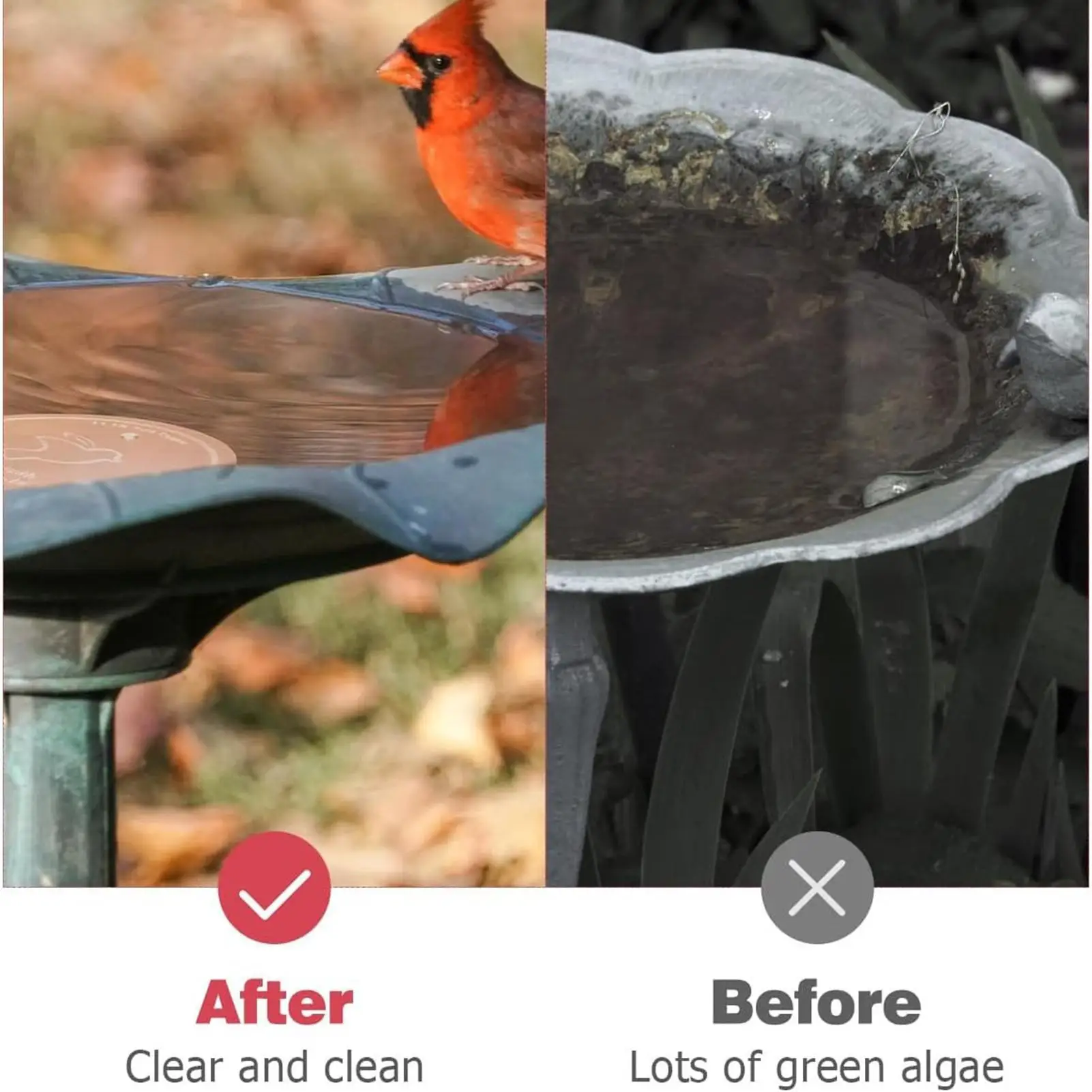 Bird Bath Purification Disk Bath Disk Ornaments Feeder Accessories Triple-Point Support Purifier Plat for Patio Fountain Garden