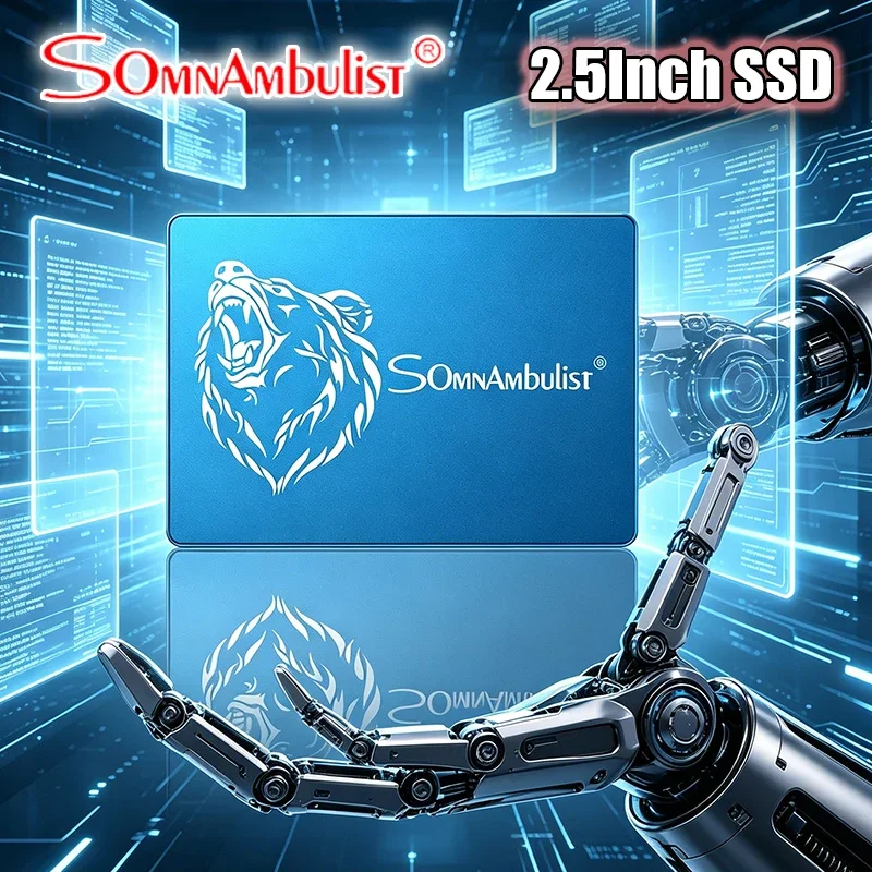 

SomnAmbulist Sata3 SSD 1TB 2TB SSD Solid State Drive 128GB 240GB 256GB 480GB 512GB 960GB for Laptop Desktop Solid State Drive