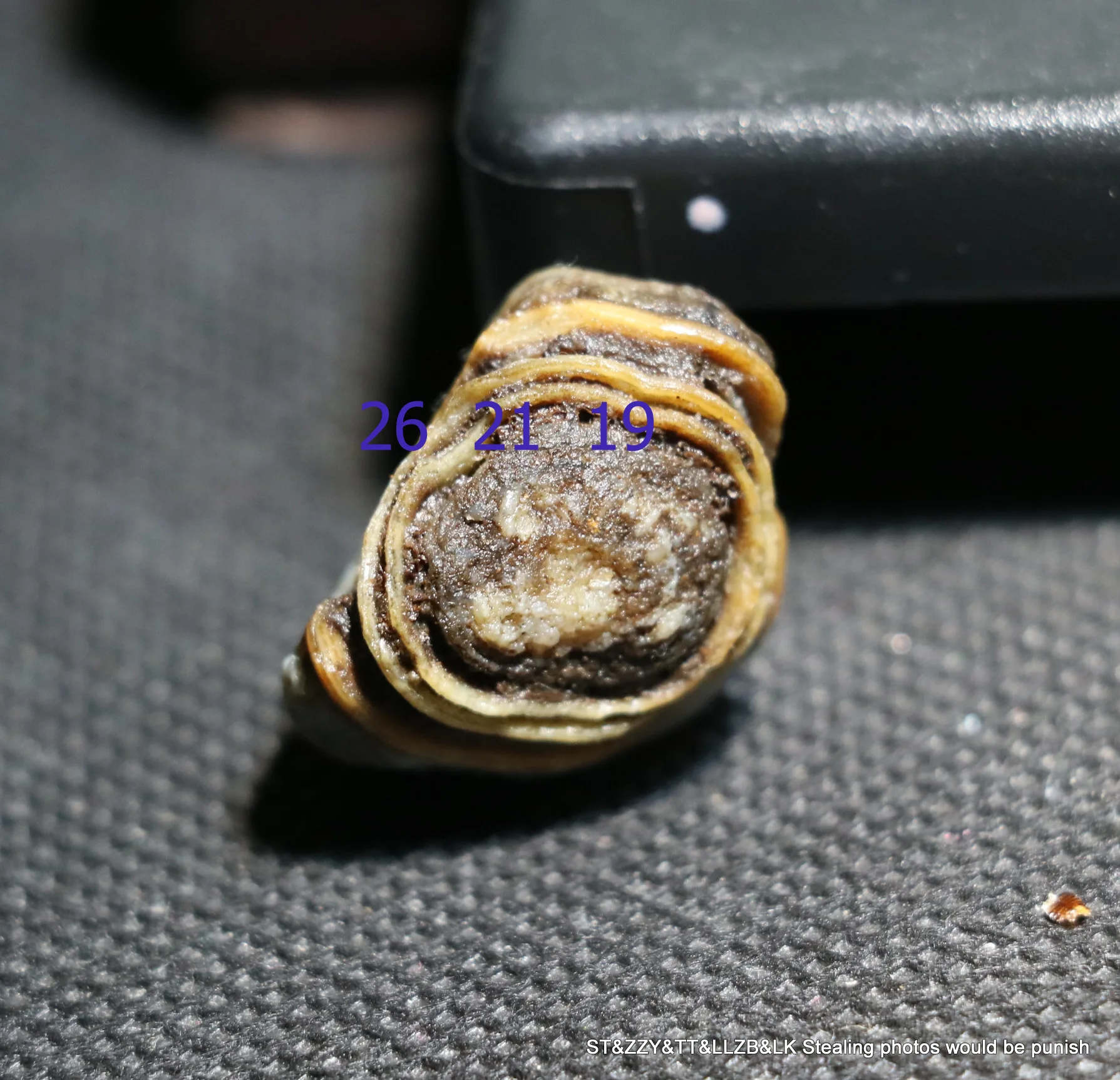 A Big Treasure Energy Chinese Desert Alashan Gobi Agate Natural Eye Lucky Bead Cool Appearance Display Amulet UPD0522Q68