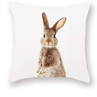 فوندا دي ألموهادا ديكوراتيفا دي كونيجو جريس فوندو بلانكو، فوندا دي ألموهادا ديكوراتيفا بارا داميتوريو، أريكة كوادرادو #6