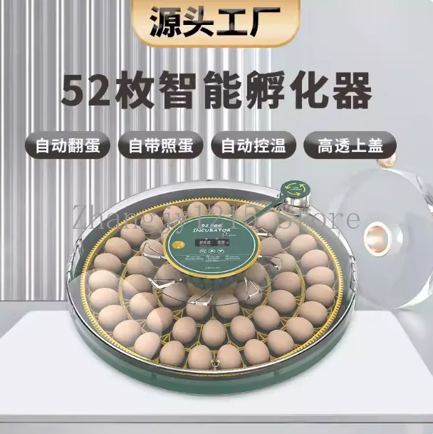52 New Color 12V DC Bird Egg Incubator Hatch Egg Incubator