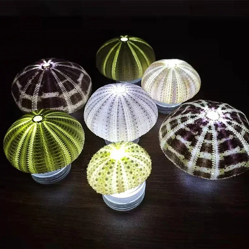 Aqumotic Romantic Sea Urchin Night Light Shell Battery Outdoor Candlelight Dinner 1pc Restaurant Party Decorative Candlestick
