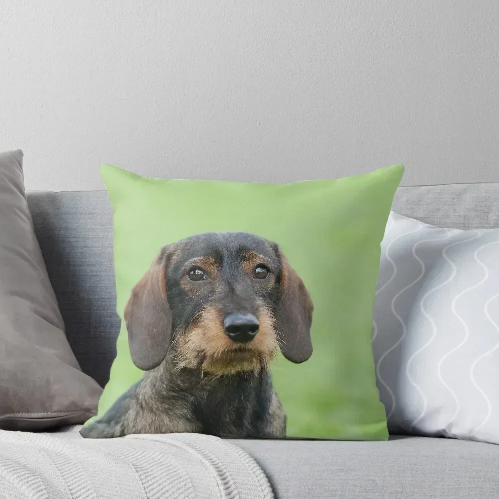 

Wire-haired dachshund Throw Pillow Cushion Cover For Sofa Christmas Pillows pillow