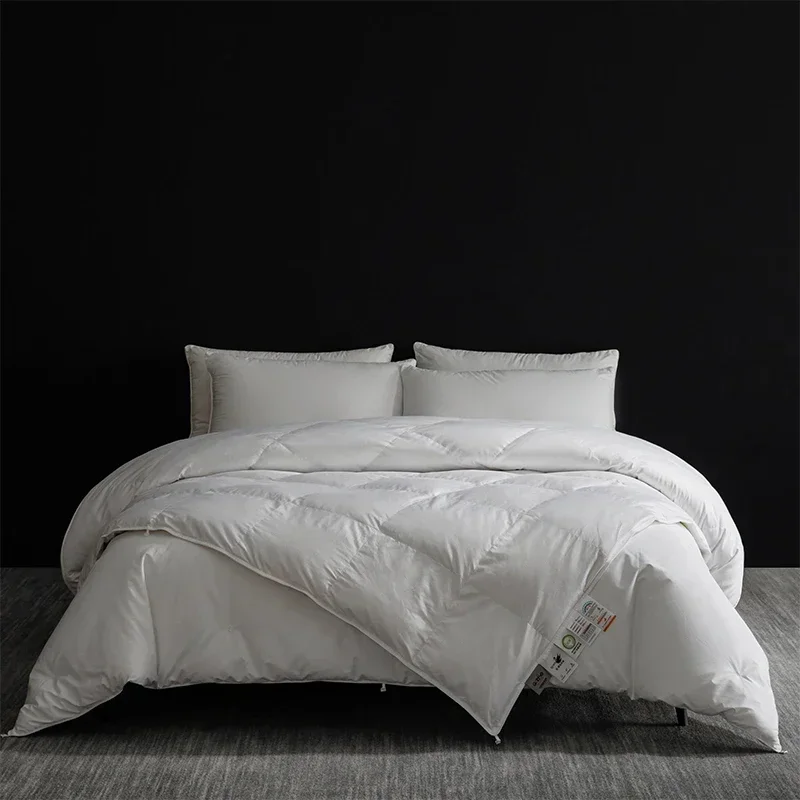 2025 Premium Goose Down & Silk Bedding Set, Full Size. A harmonious union for all-season, top-notch comfort.