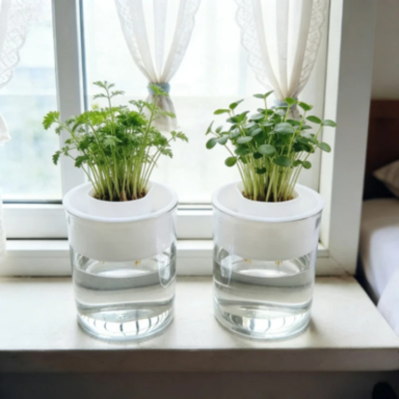 2Pcs White Plastic Hydroponic Separator Pot Insert Bulb Plant Root Control Tray Prevent Rot For Tulip Hyacinth Water Culture