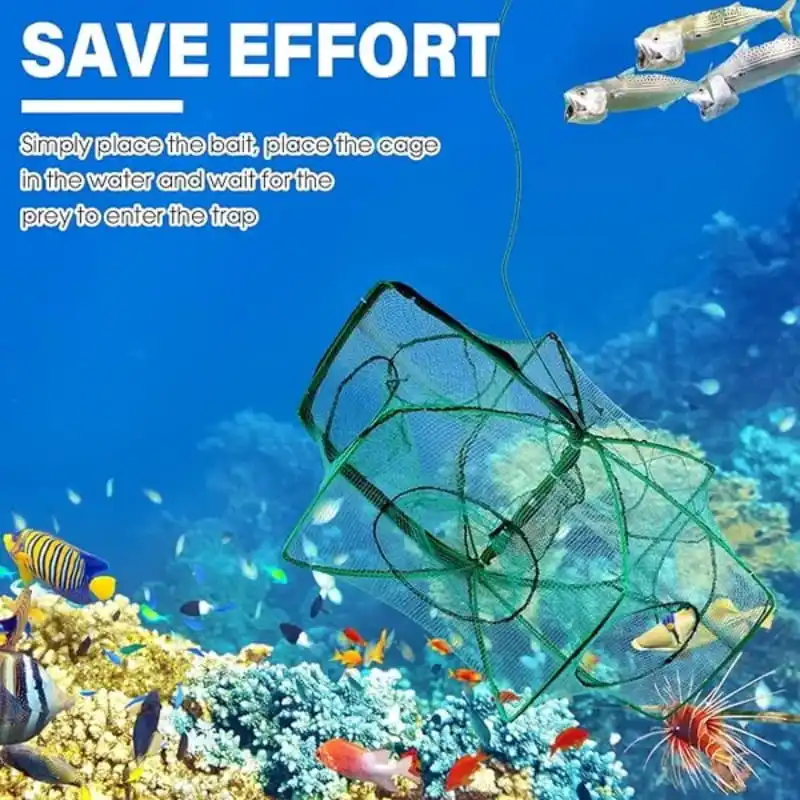 Auto-Foldable Strengthened Fishing Trap Net for Catching Shrimp Crab Lobster and Fish