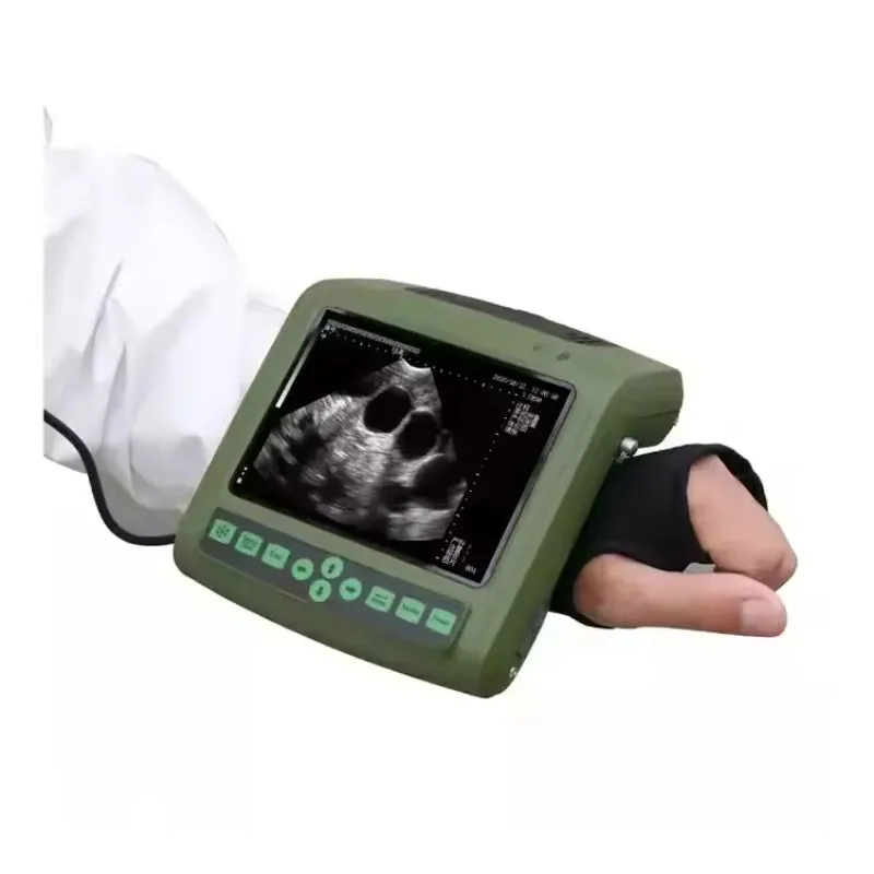 

Portable Veterinary Full Digital Ultrasound Diagnostic Instruments,ultrasound Probe Pig Ultrasound Scanner Machines
