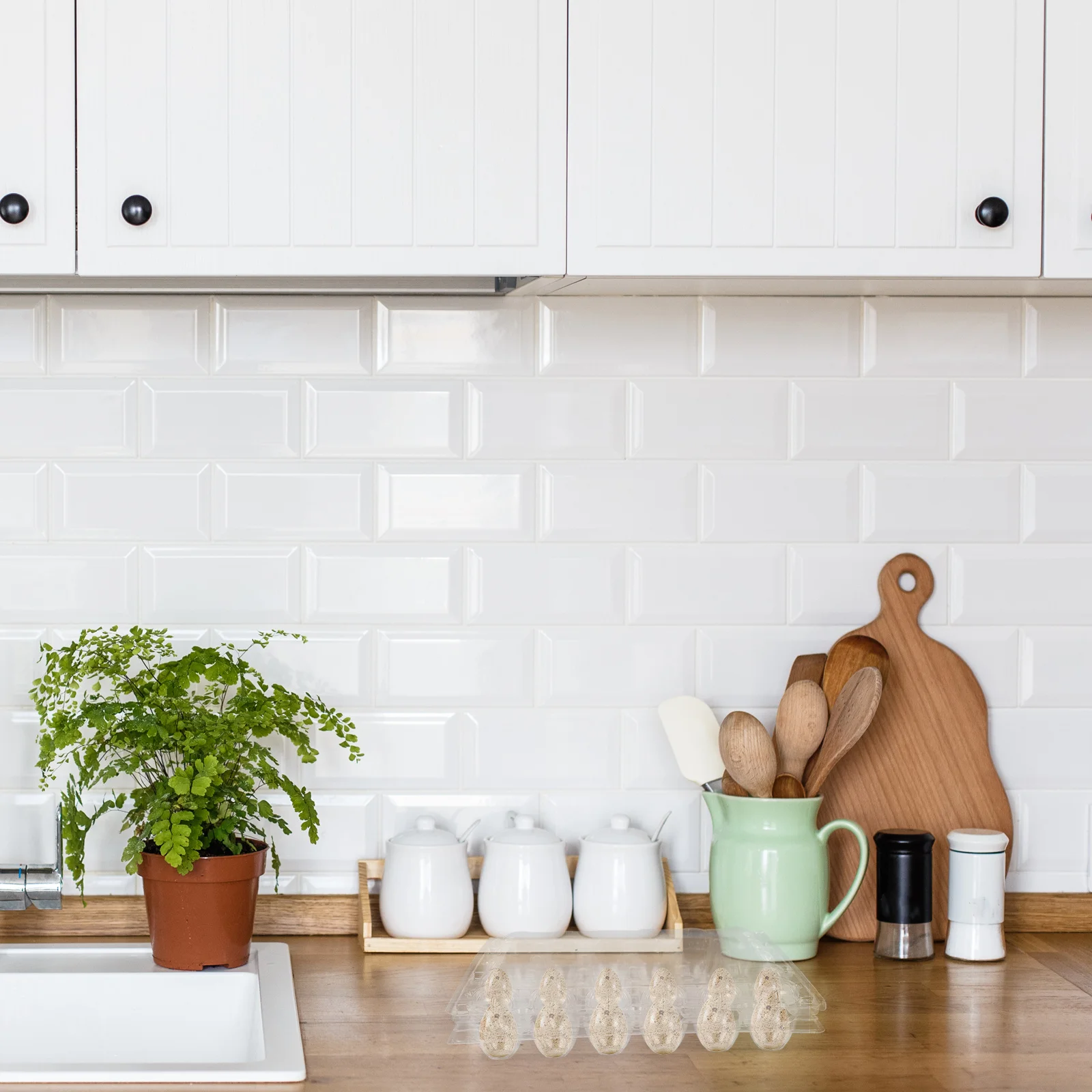 

25Pcs Clear Quail Egg Holders Reusable Plastic Tray Organize Kitchen Keep Eggs Fresh Stable Egg Cartons Reusable