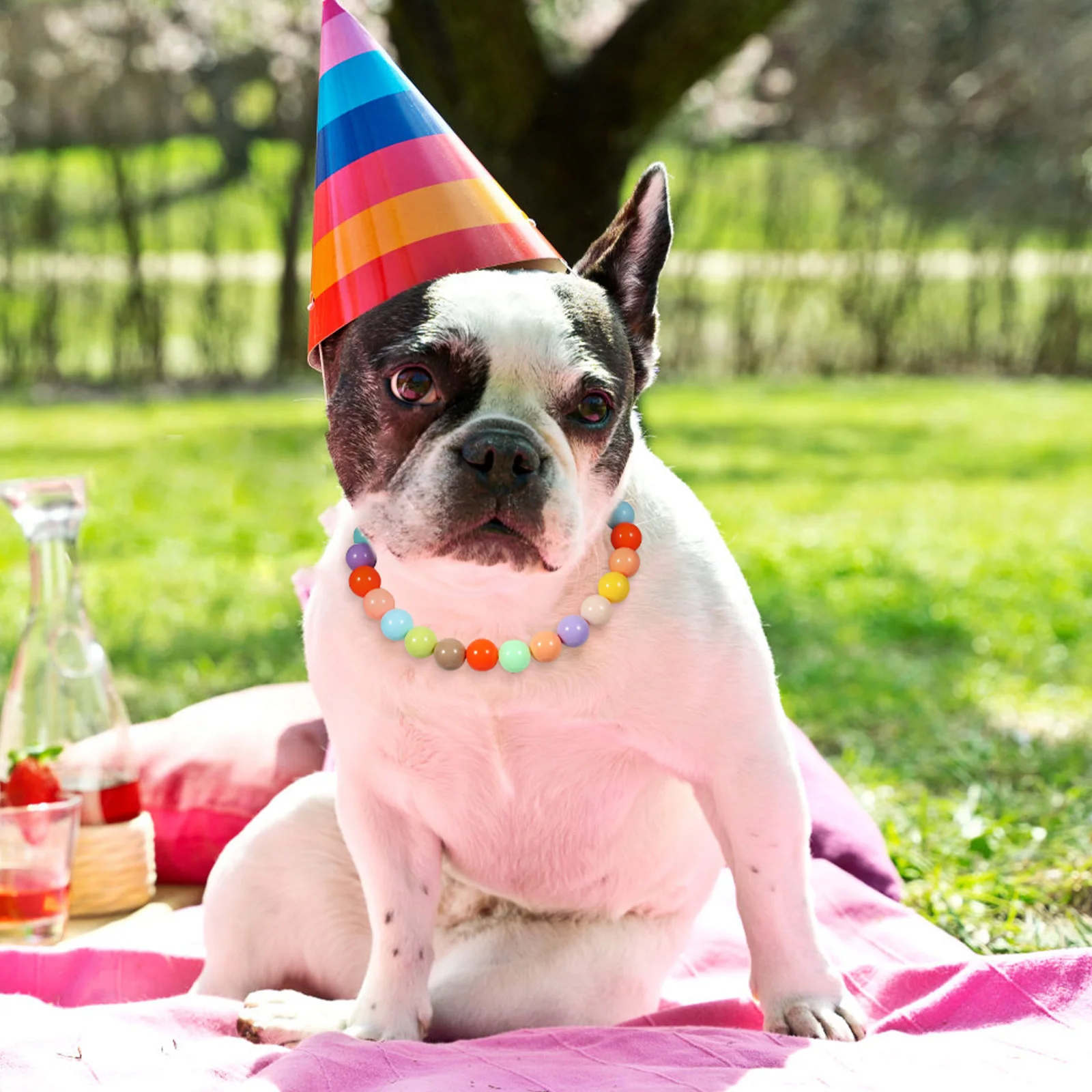 

Candy Color Dog Necklace Collar Adjustable Pet Jewelry Dog Charms for Small Dogs Puppies Wedding Party Girl Cat Accessories