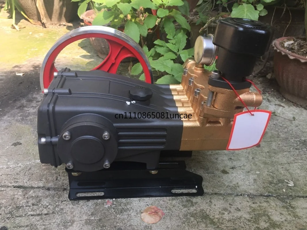 For Model 22C5 30D5 Grease Free 3 Cylinder Plunger Pump High Pressure Pump For Garden Spraying Disinfection