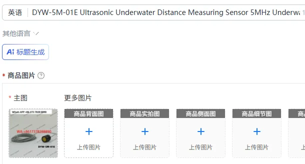 DYW-5M-01E Ultrasonic Underwater Distance Measuring Sensor 5MHz Underwater Communication Transducer New