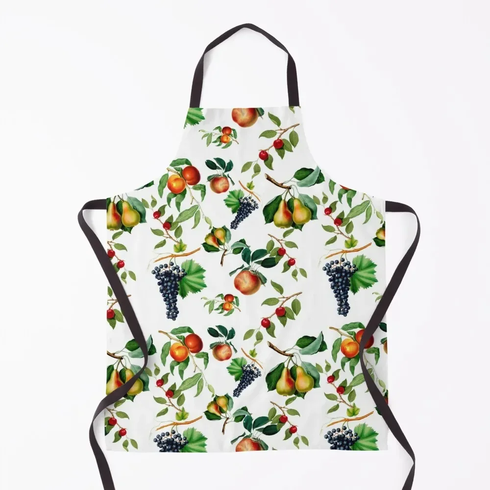 

Vintage Fruit Apron Teacher chef for man Apron