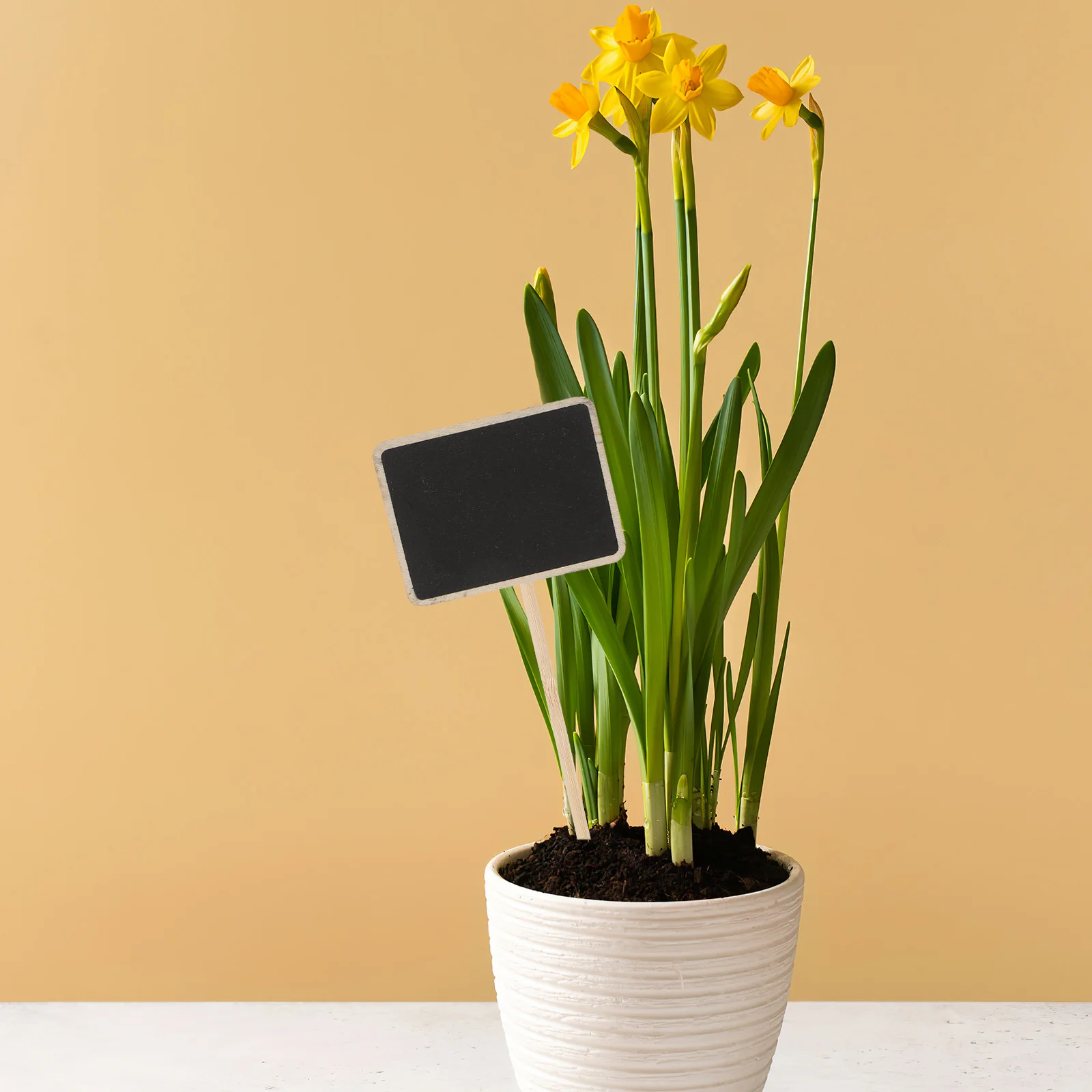 

10Pcs Wooden Plant Labels Garden Stakes for Plants Outdoor Indoor Gardening Reusable Eco-Friendly Plant Identification