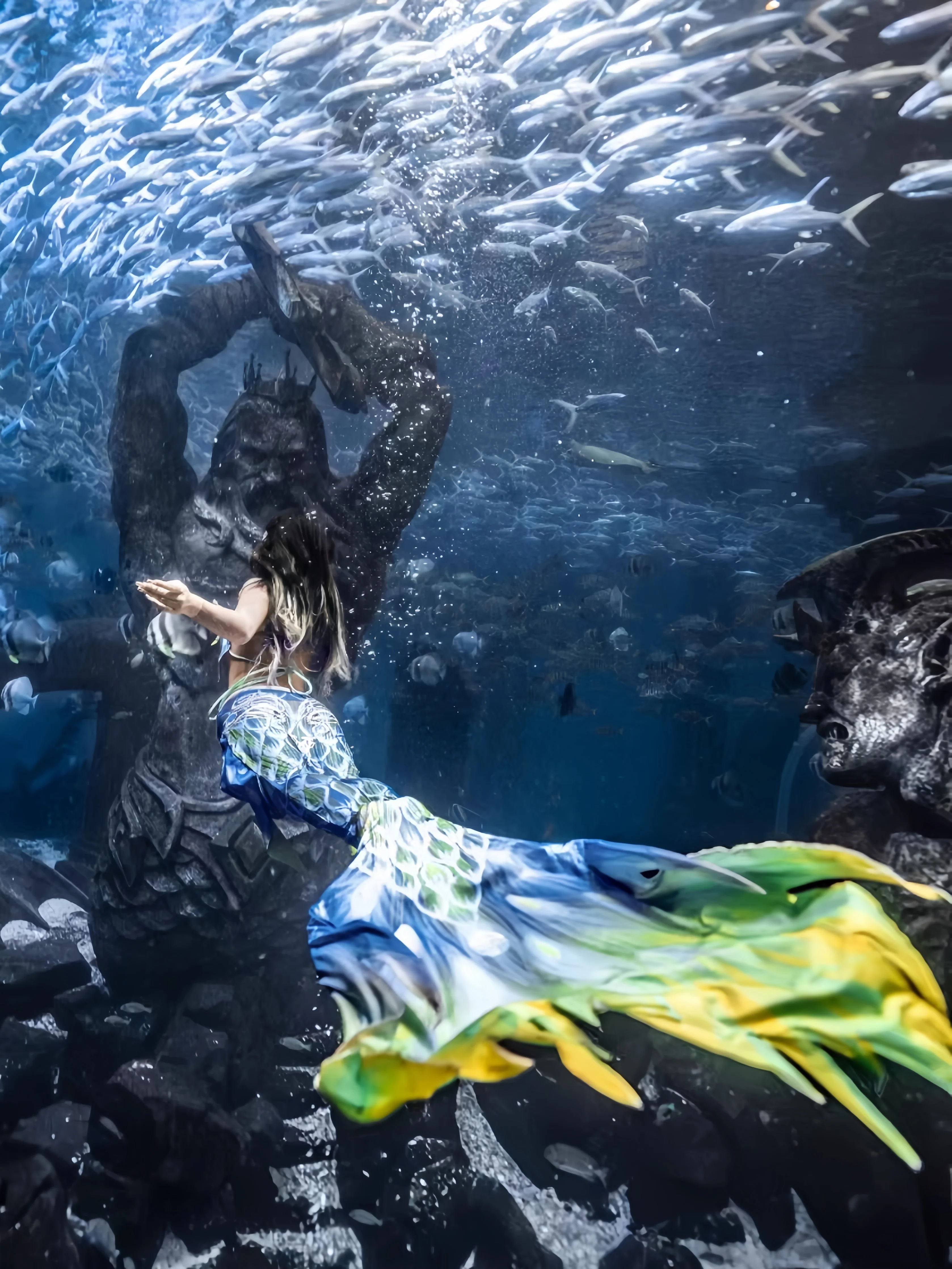 マーメイドテール大人用レディース水着、同スタイルのトップスと - Aquarium & Marine Museum のレビューと価格