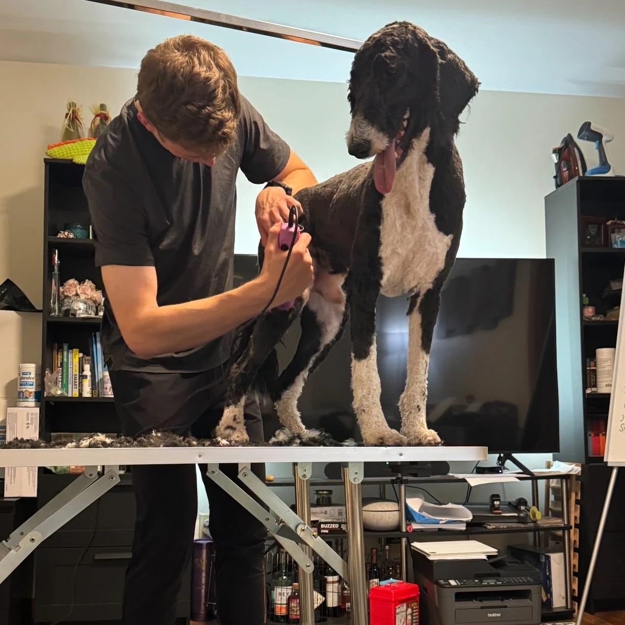 A5 blade Fit For most Andis & Oster Pet Dog Hair Trimmer Grooming Heiniger Laube Moser clipper gallery 2