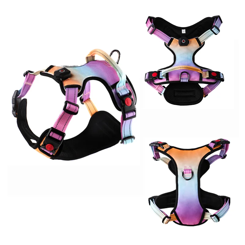 Hot Sale Nylon LED Dog Harness Quality Manufacturer Wholesale Night Security Outdoor Adjustable Custom Dog Harness With Lights
