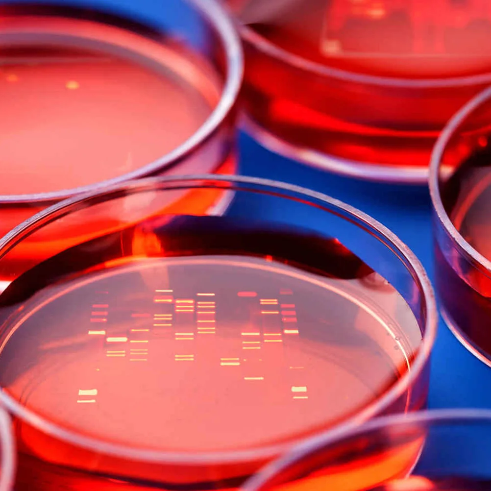 30 szt. misek Petriego 90 mm, plastikowe miseczki do hodowli, przezroczyste, do eksperymentów biologicznych, mikrobiologicznych, hodowli drożdży, jednorazowe